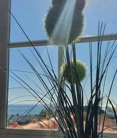 Solar Do Vau Apartman