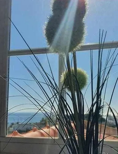 Solar Do Vau Appartement